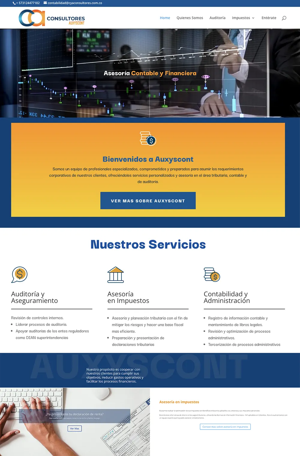 diseño de paginas para contadores