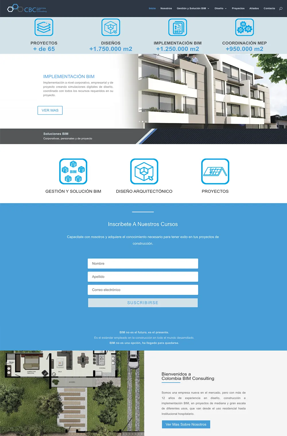 diseño de sitios web bin consulting